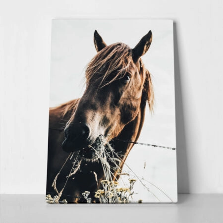 Πίνακας σε Καμβά RUSTIC FARMHOUSE HORSE EATING - 