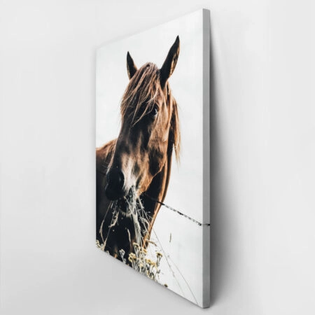 Πίνακας σε Καμβά RUSTIC FARMHOUSE HORSE EATING -  Sticky 2