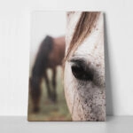 Πίνακας σε Καμβά RUSTIC FARMHOUSE HORSE EYE