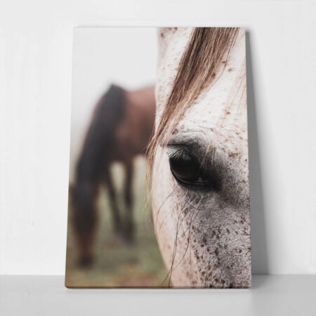Πίνακας σε Καμβά RUSTIC FARMHOUSE HORSE EYE