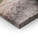 Πίνακας σε Καμβά RUSTIC FARMHOUSE HORSE EYE