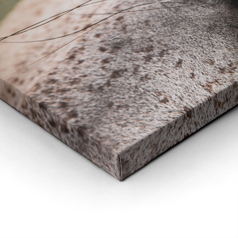 Πίνακας σε Καμβά RUSTIC FARMHOUSE HORSE EYE