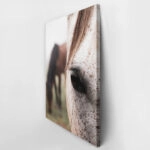 Πίνακας σε Καμβά RUSTIC FARMHOUSE HORSE EYE