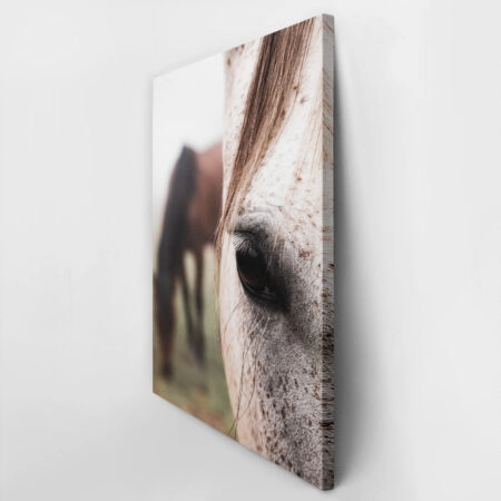 Πίνακας σε Καμβά RUSTIC FARMHOUSE HORSE EYE -  Sticky 2