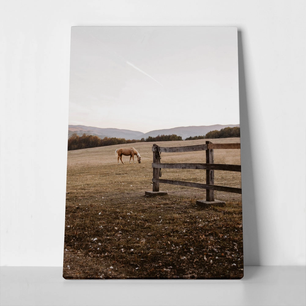 Πίνακας σε Καμβά RUSTIC FARMHOUSE HORSE FIELD