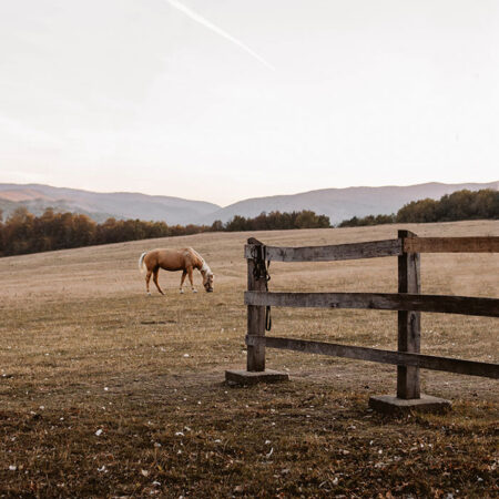 Πίνακας σε Καμβά RUSTIC FARMHOUSE HORSE FIELD -  Sticky 5
