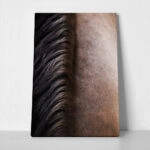 Πίνακας σε Καμβά RUSTIC FARMHOUSE HORSE HAIR