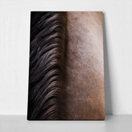Πίνακας σε Καμβά RUSTIC FARMHOUSE HORSE HAIR - 