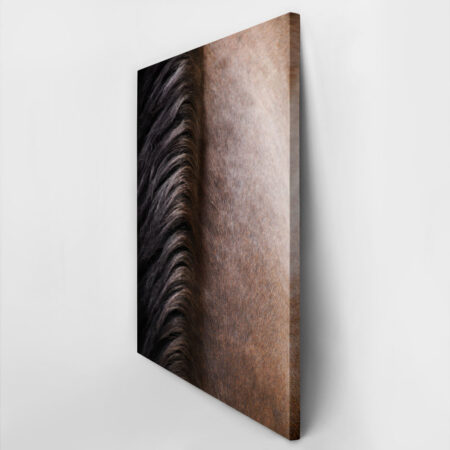 Πίνακας σε Καμβά RUSTIC FARMHOUSE HORSE HAIR -  Sticky 2