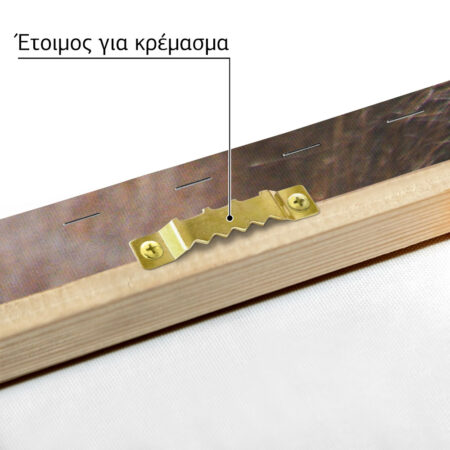 Πίνακας σε Καμβά RUSTIC FARMHOUSE HORSE HAIR -  Sticky 4