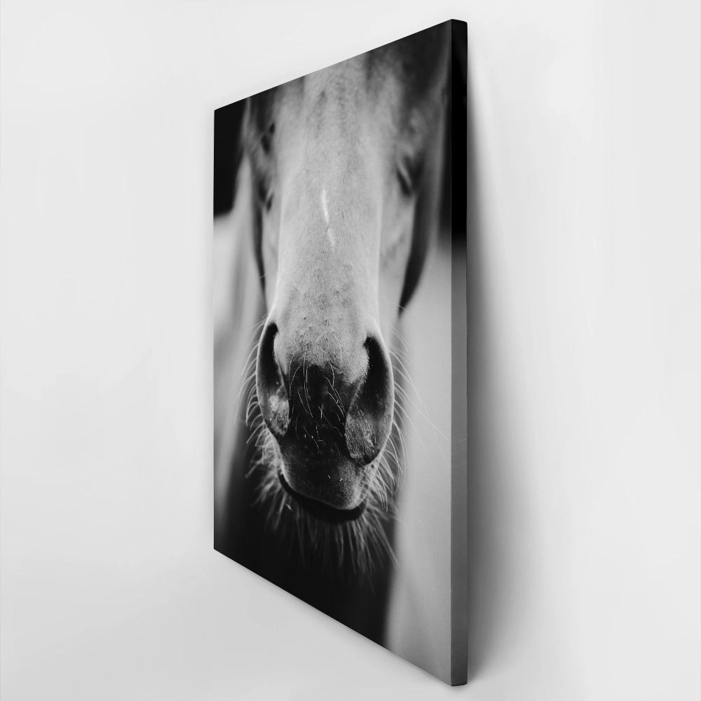 Πίνακας σε Καμβά RUSTIC FARMHOUSE HORSE MOUTH
