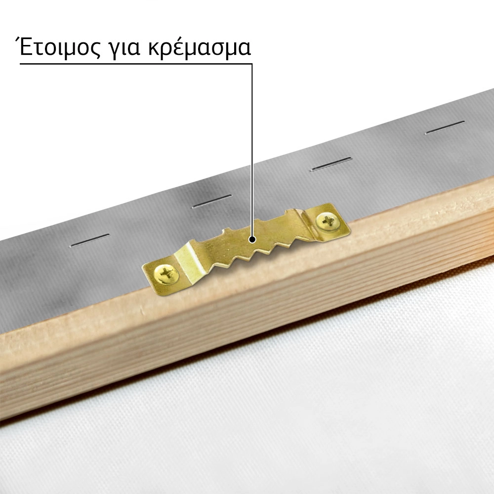 Πίνακας σε Καμβά RUSTIC FARMHOUSE HORSE MOUTH