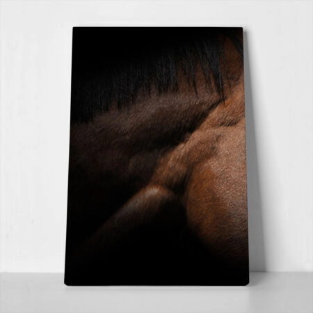 Πίνακας σε Καμβά RUSTIC FARMHOUSE HORSE MUSCLE - 
