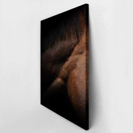Πίνακας σε Καμβά RUSTIC FARMHOUSE HORSE MUSCLE -  Sticky 2