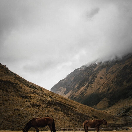 Πίνακας σε Καμβά RUSTIC FARMHOUSE HORSES 2 -  Sticky 5