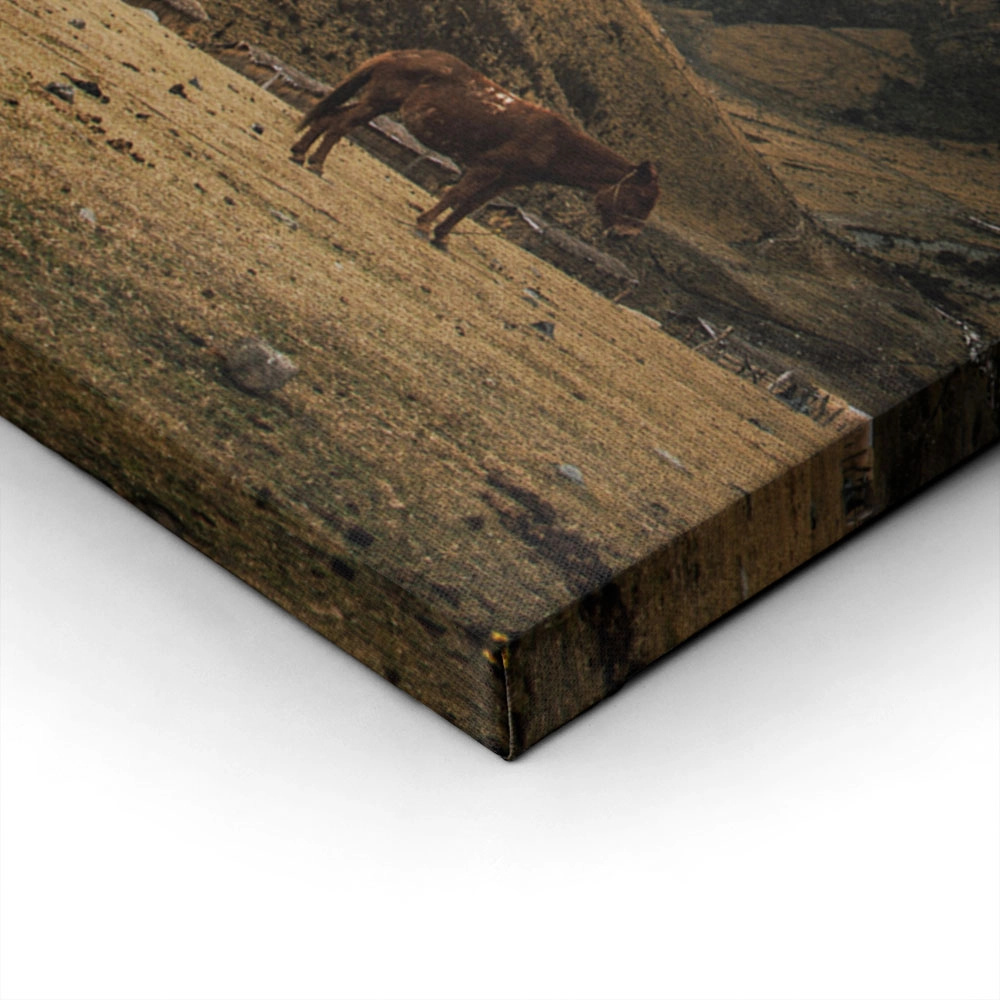 Πίνακας σε Καμβά RUSTIC FARMHOUSE HORSES 2