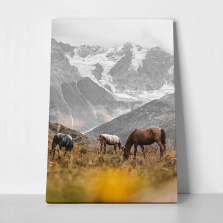 Πίνακας σε Καμβά RUSTIC FARMHOUSE HORSES 3 - 