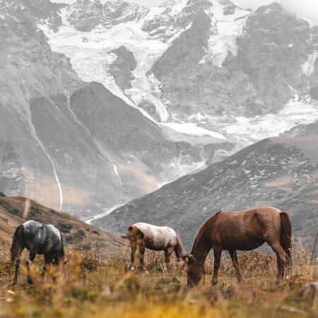 Πίνακας σε Καμβά RUSTIC FARMHOUSE HORSES 3 -  Sticky 5
