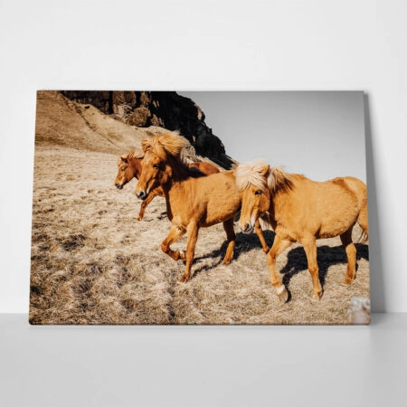 Πίνακας σε Καμβά RUSTIC FARMHOUSE HORSES 4 - 
