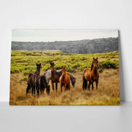 Πίνακας σε Καμβά RUSTIC FARMHOUSE HORSES 5 - 