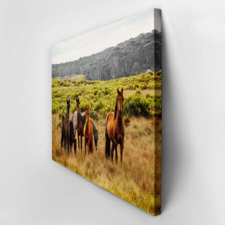 Πίνακας σε Καμβά RUSTIC FARMHOUSE HORSES 5 -  Sticky 2