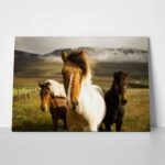 Πίνακας σε Καμβά RUSTIC FARMHOUSE HORSES 6
