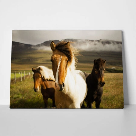 Πίνακας σε Καμβά RUSTIC FARMHOUSE HORSES 6 - 
