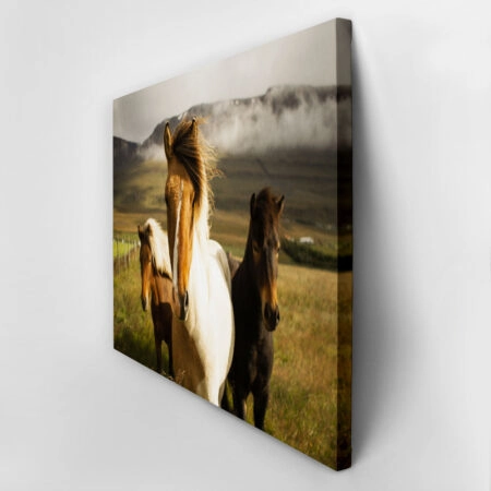Πίνακας σε Καμβά RUSTIC FARMHOUSE HORSES 6 -  Sticky 2