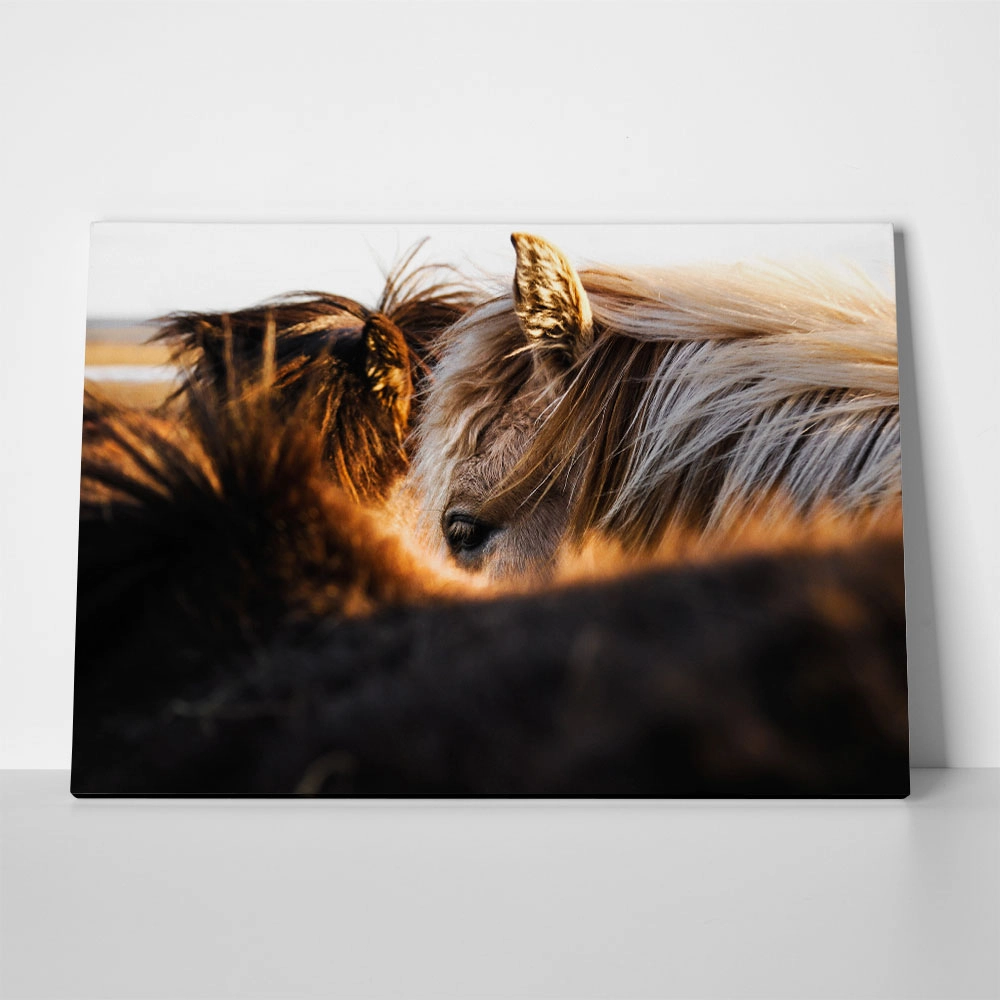 Πίνακας σε Καμβά RUSTIC FARMHOUSE HORSES 7