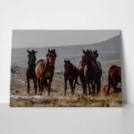 Πίνακας σε Καμβά RUSTIC FARMHOUSE HORSES 8