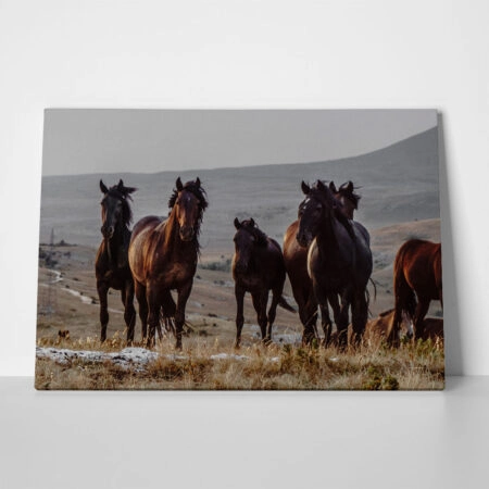 Πίνακας σε Καμβά RUSTIC FARMHOUSE HORSES 8 - 