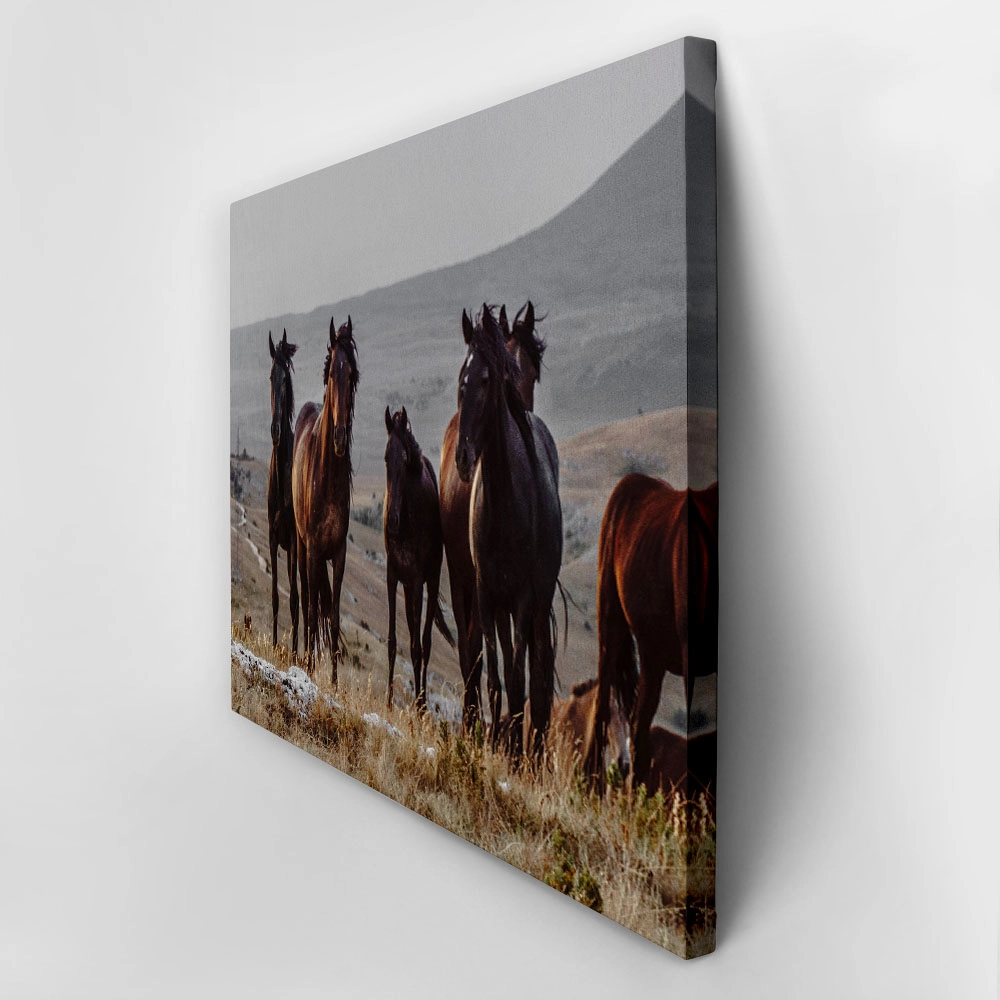 Πίνακας σε Καμβά RUSTIC FARMHOUSE HORSES 8