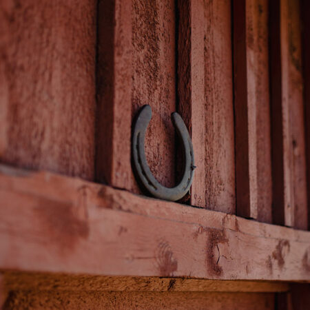 Πίνακας σε Καμβά RUSTIC FARMHOUSE HORSESHOE 2 -  Sticky 5