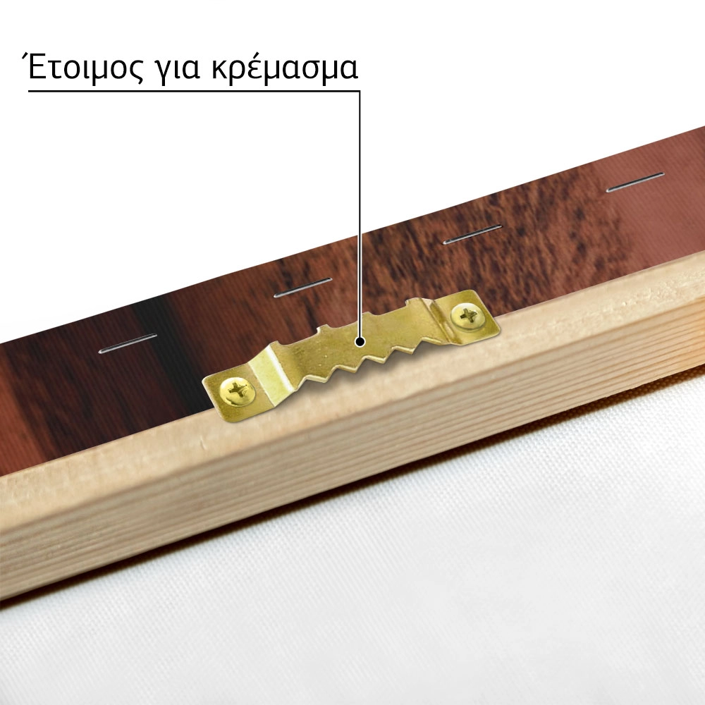 Πίνακας σε Καμβά RUSTIC FARMHOUSE HORSESHOE 2
