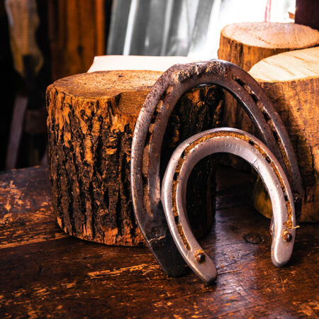 Πίνακας σε Καμβά RUSTIC FARMHOUSE HORSESHOE 4 -  Sticky 5