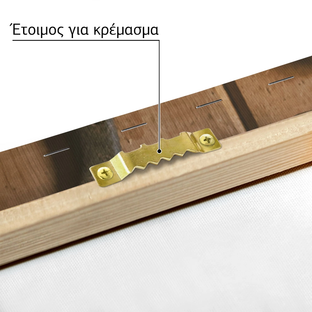Πίνακας σε Καμβά RUSTIC FARMHOUSE HORSESHOES