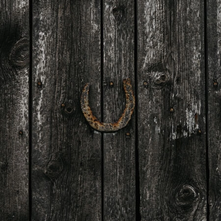 Πίνακας σε Καμβά RUSTIC FARMHOUSE HORSESHOE -  Sticky 5