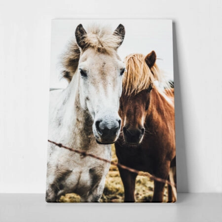 Πίνακας σε Καμβά RUSTIC FARMHOUSE HORSES - 