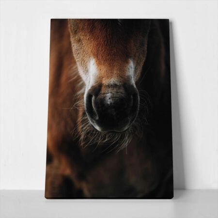 Πίνακας σε Καμβά RUSTIC FARMHOUSE HORSE - 
