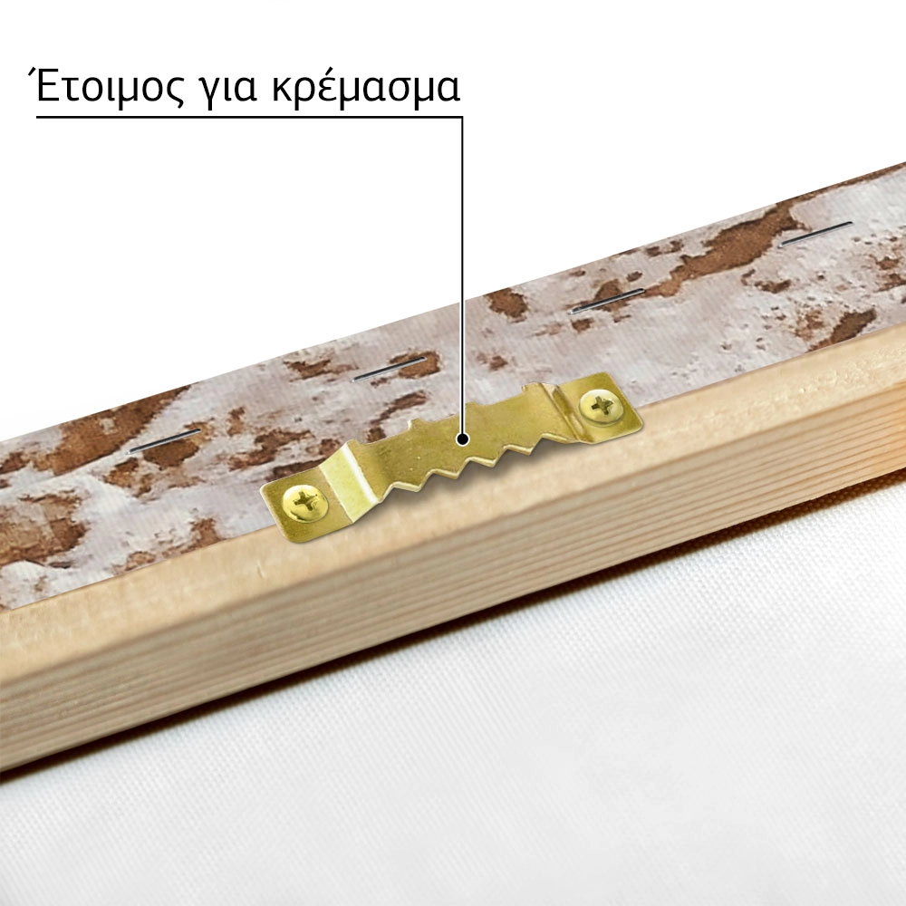 Πίνακας σε Καμβά RUSTIC FARMHOUSE LAKE FOAM