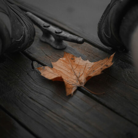 Πίνακας σε Καμβά RUSTIC FARMHOUSE LEAF -  Sticky 5