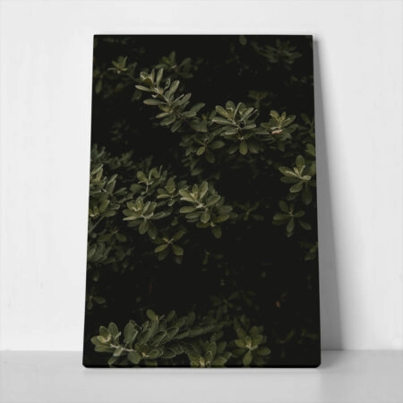 Πίνακας σε Καμβά RUSTIC FARMHOUSE LEAVES - 