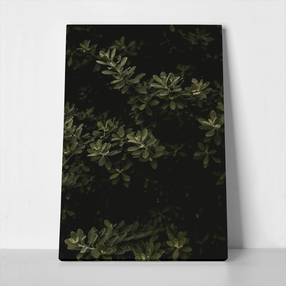 Πίνακας σε Καμβά RUSTIC FARMHOUSE LEAVES