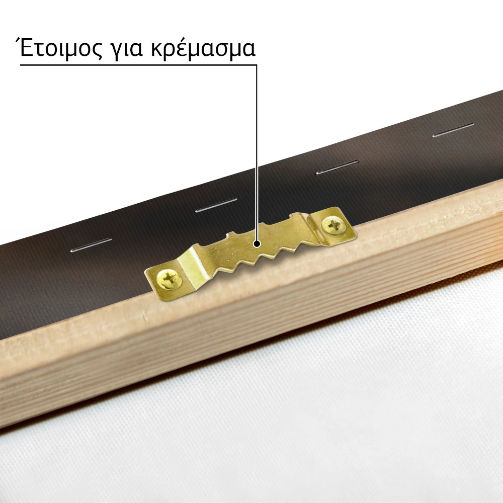 Πίνακας σε Καμβά RUSTIC FARMHOUSE LIGHT