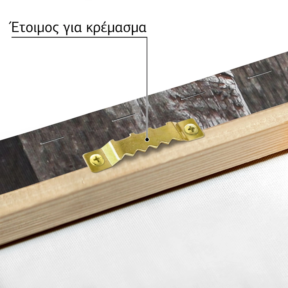Πίνακας σε Καμβά RUSTIC FARMHOUSE LOCK