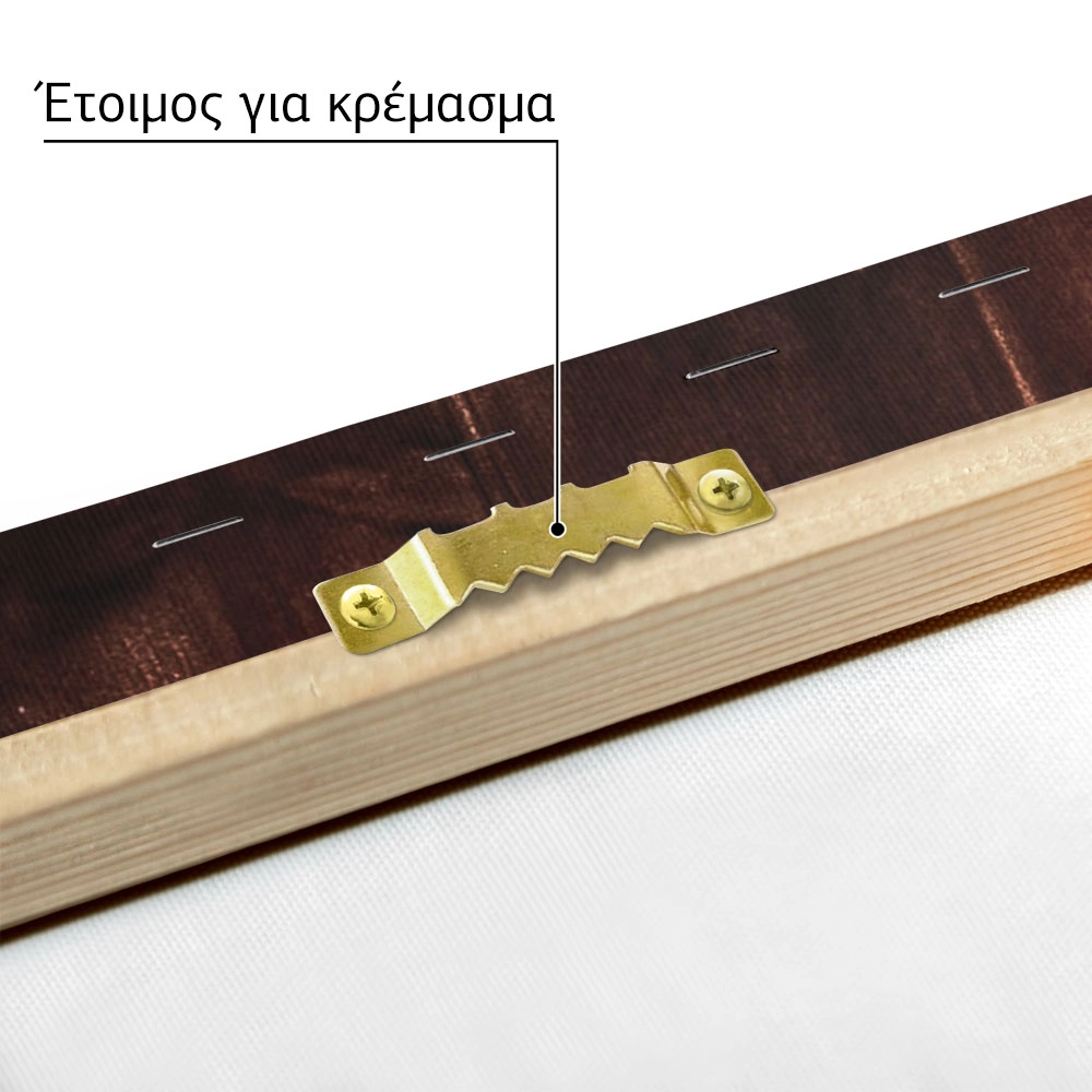Πίνακας σε Καμβά RUSTIC FARMHOUSE MIRROR 2