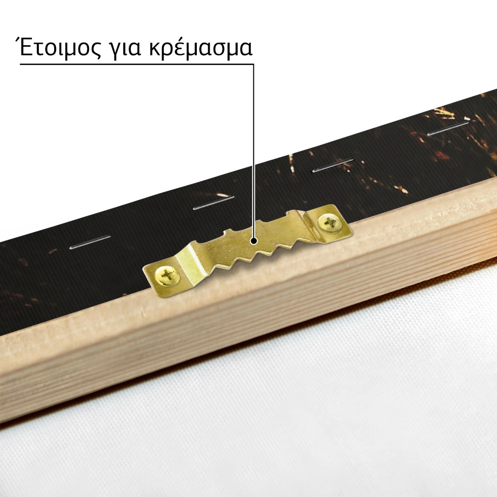 Πίνακας σε Καμβά RUSTIC FARMHOUSE MIRROR