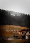 Πίνακας σε Καμβά RUSTIC FARMHOUSE MOUNTAIN FARM 2
