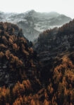 Πίνακας σε Καμβά RUSTIC FARMHOUSE MOUNTAIN LIFE 5