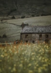 Πίνακας σε Καμβά RUSTIC FARMHOUSE MOUNTAIN LIFE 8